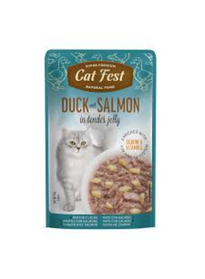 Cat Fest Wet Cat Food Duck with Salmon in Tender Jelly High Protein 70g From Varmacy - Image 1